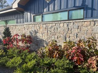 Stone wall with plants in sunlight