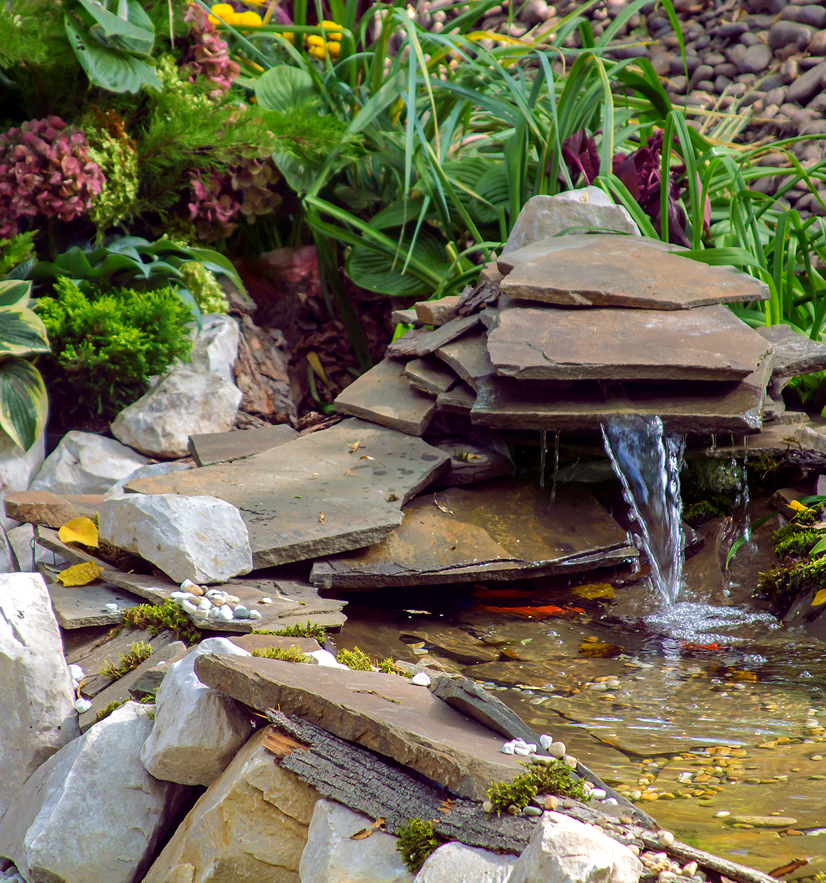 Small pond with flowing water