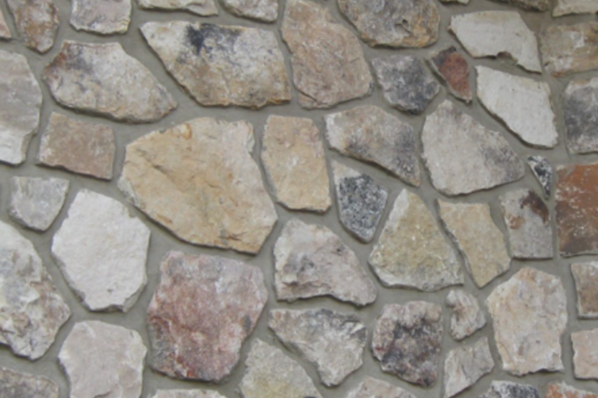 Untitled design (6)