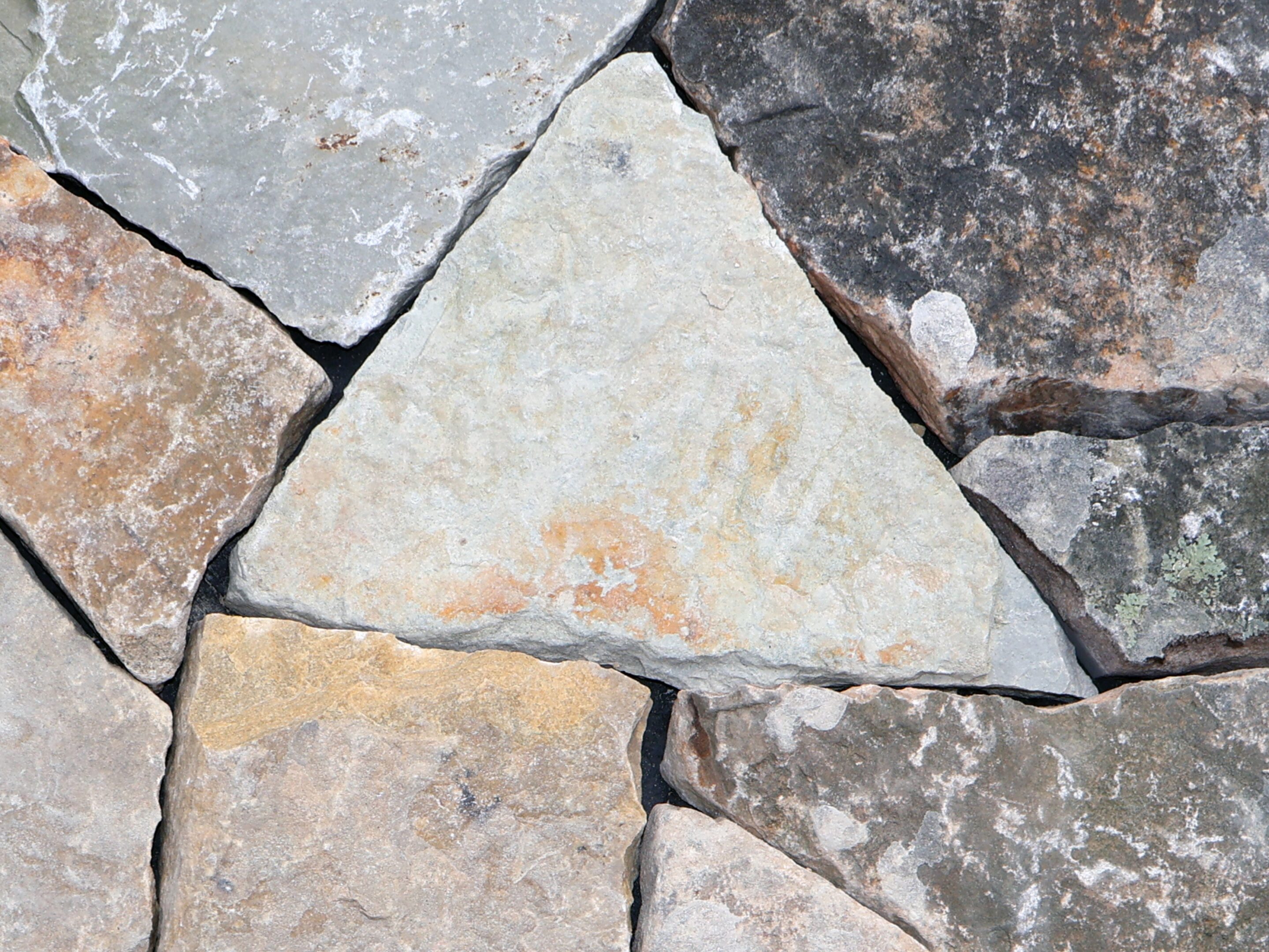 TUSCARORA BLEND